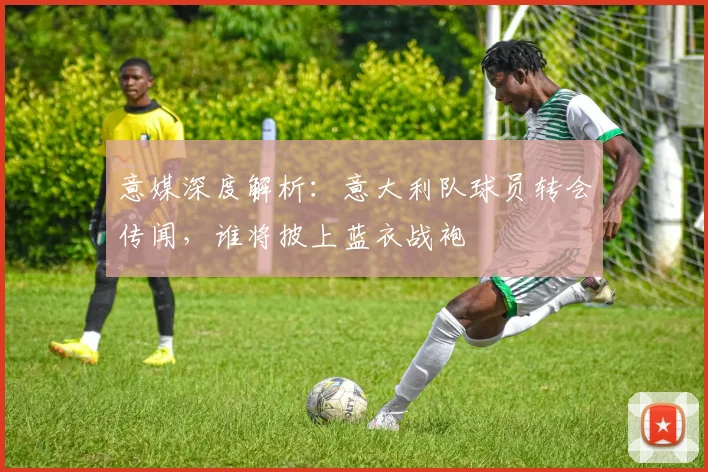 意媒深度解析:意大利队球员转会传闻,谁将披上蓝衣战袍