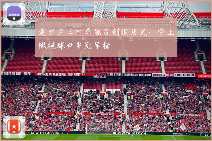 爱尔兰三叶草能否创造历史，登上橄榄球世界冠军榜