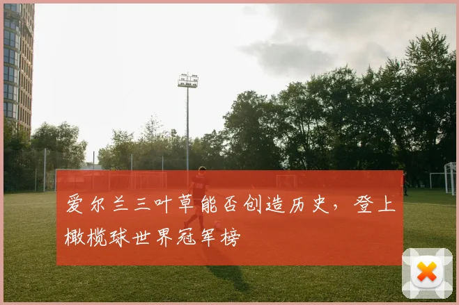 爱尔兰三叶草能否创造历史，登上橄榄球世界冠军榜
